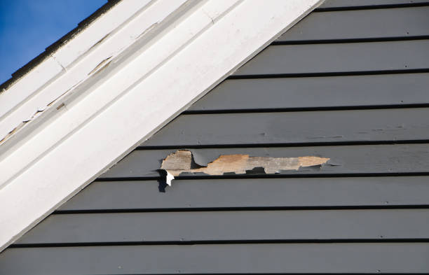 Best Construction Debris Removal  in Mishawaka, IN